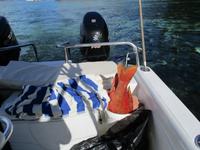 Aride Island Ausflug