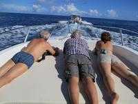 Aride Island Ausflug