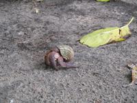 Aride Island Ausflug