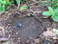 Aride Island Ausflug