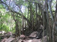 Aride Island Ausflug