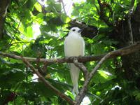 Aride Island Ausflug