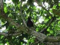 Aride Island Ausflug