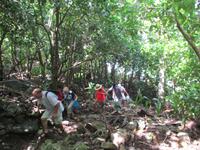 Aride Island Ausflug