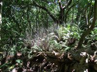 Aride Island Ausflug