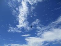 Aride Island Ausflug