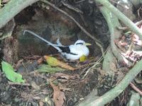 Aride Island Ausflug