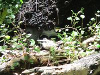 Aride Island Ausflug