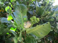 Aride Island Ausflug