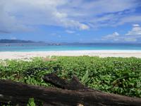 Aride Island Ausflug