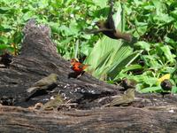 Aride Island Ausflug