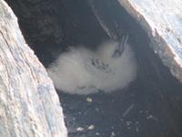 Aride Island Ausflug