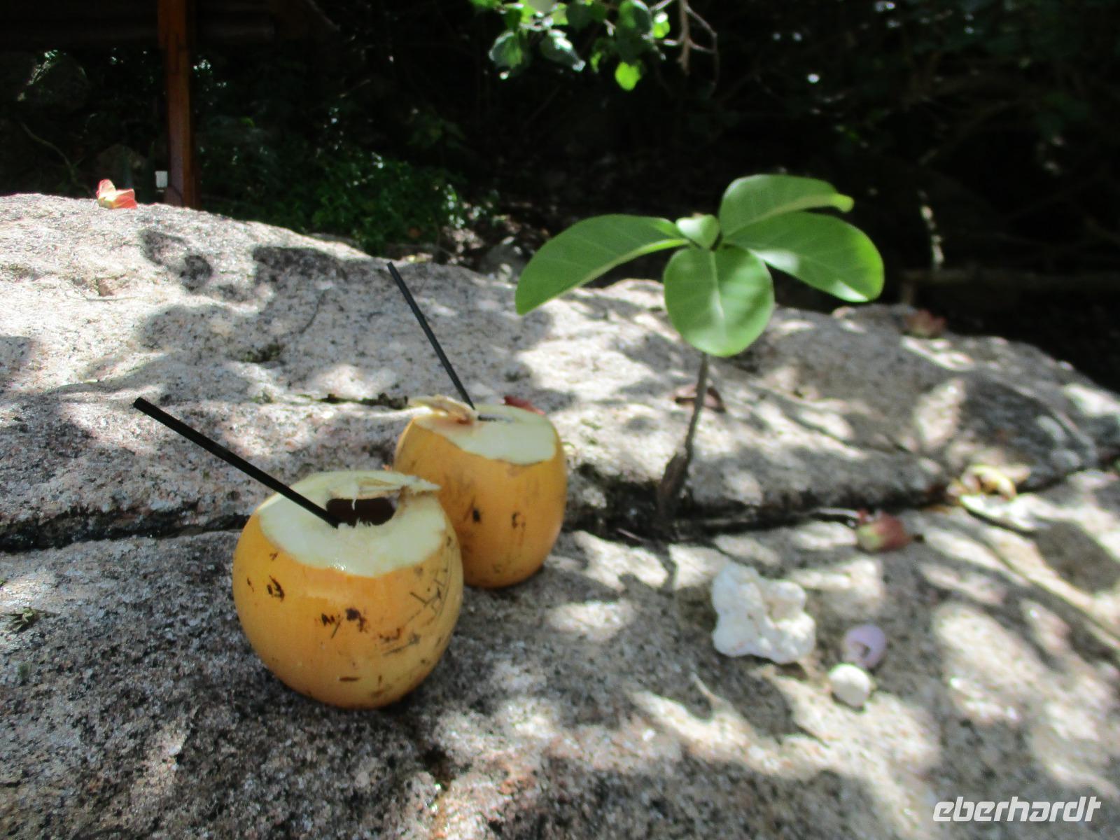 New Emerald Cove Hotel Praslyn