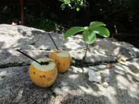 New Emerald Cove Hotel Praslyn