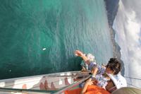 Katamaran Ausflug nach Moyenne Island & St. Anne Marine N.P.