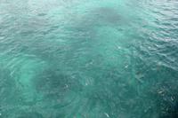 Katamaran Ausflug nach Moyenne Island & St. Anne Marine N.P.