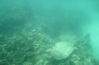 Katamaran Ausflug nach Moyenne Island & St. Anne Marine N.P.