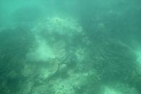 Katamaran Ausflug nach Moyenne Island & St. Anne Marine N.P.