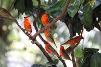 Katamaran Ausflug nach Moyenne Island & St. Anne Marine N.P.