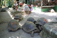 Katamaran Ausflug nach Moyenne Island & St. Anne Marine N.P.
