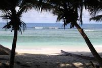 Katamaran Ausflug nach Moyenne Island & St. Anne Marine N.P.