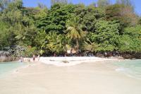 Katamaran Ausflug nach Moyenne Island & St. Anne Marine N.P.