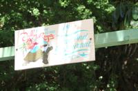 Katamaran Ausflug nach Moyenne Island & St. Anne Marine N.P.