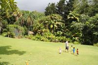 Inselrundfahrt Mahé - Botanischer Garten