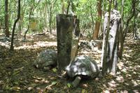 Rundgang auf Cousin Island