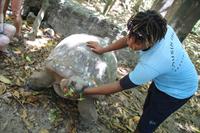 Rundgang auf Cousin Island