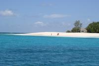 Rundgang auf Cousin Island