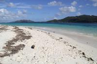 Rundgang auf Curieuse Island