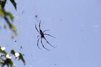 Rundfahrt auf La Digue