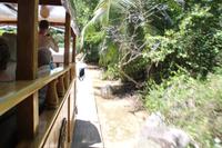 Rundfahrt auf La Digue