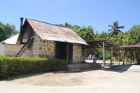 Kokosnussplantage - La Digue