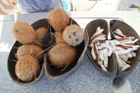 Katamaranfahrt um La Digue