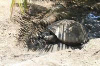 Rundgang auf Grand Sister Island