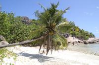 Baden auf Grand Sister Island