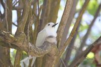 Bootsfahrt nach Aride Island