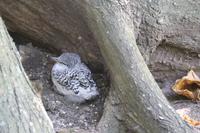 Rundgang auf Aride Island