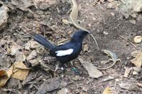 Rundgang auf Aride Island