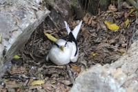 Rundgang auf Aride Island