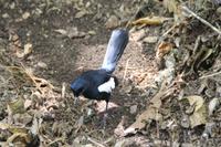 Rundgang auf Aride Island