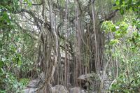 Rundgang auf Aride Island