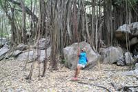 Rundgang auf Aride Island