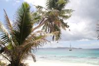 Rundgang auf Aride Island