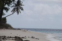 Rundgang auf Aride Island