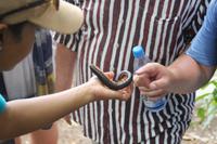 Rundgang auf Aride Island