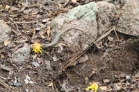 Rundgang auf Aride Island