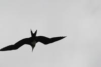 Rundgang auf Aride Island